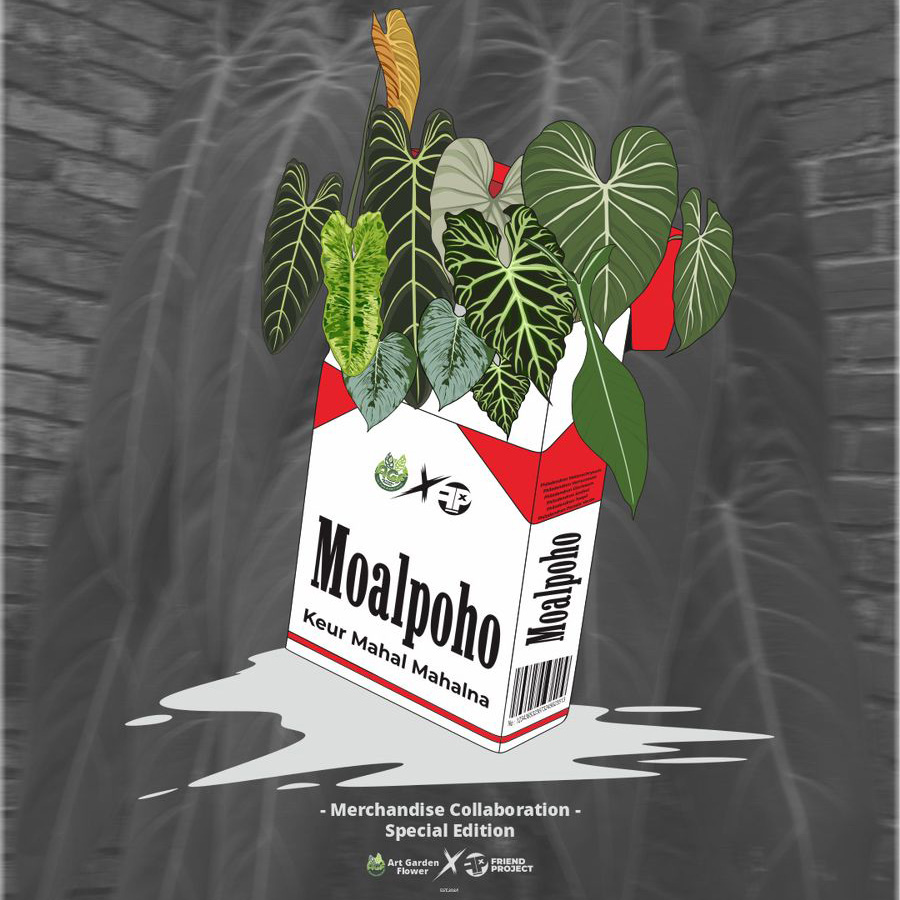 T-Shirt Moalpoho - Image 2