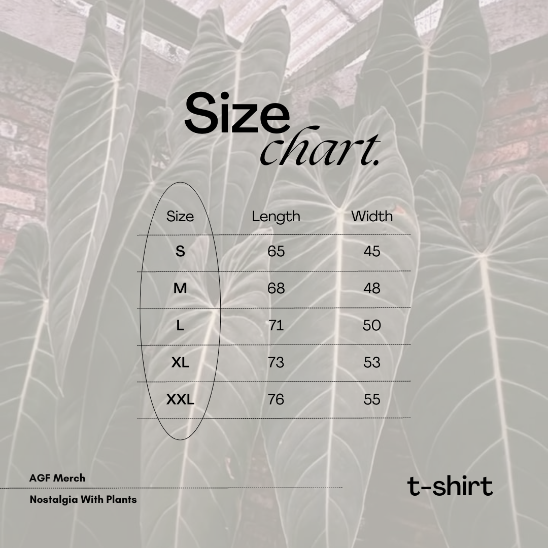 T-Shirt Melano - Image 4